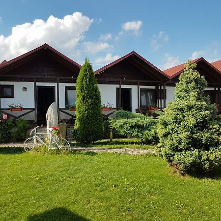 Pensiunea Valea Argesului Albestii Paminteni Eksteriør bilde