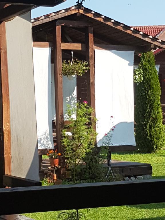 Pensiunea Valea Argesului Albestii Paminteni Eksteriør bilde